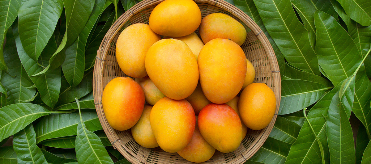 Benefits And Side Effects Of Mango On Skin