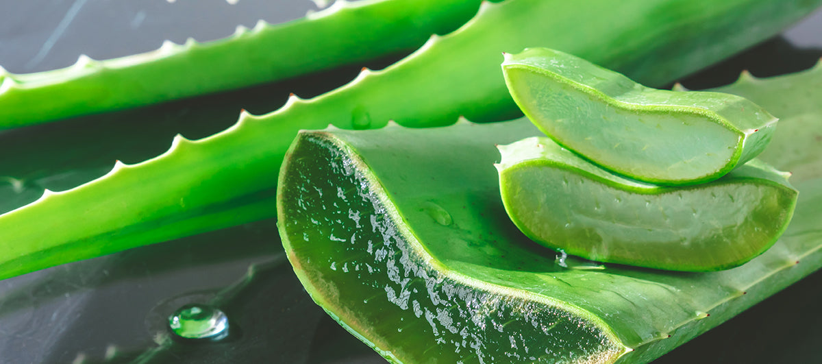 Benefits of Aloe Vera for Skin - Re'equil