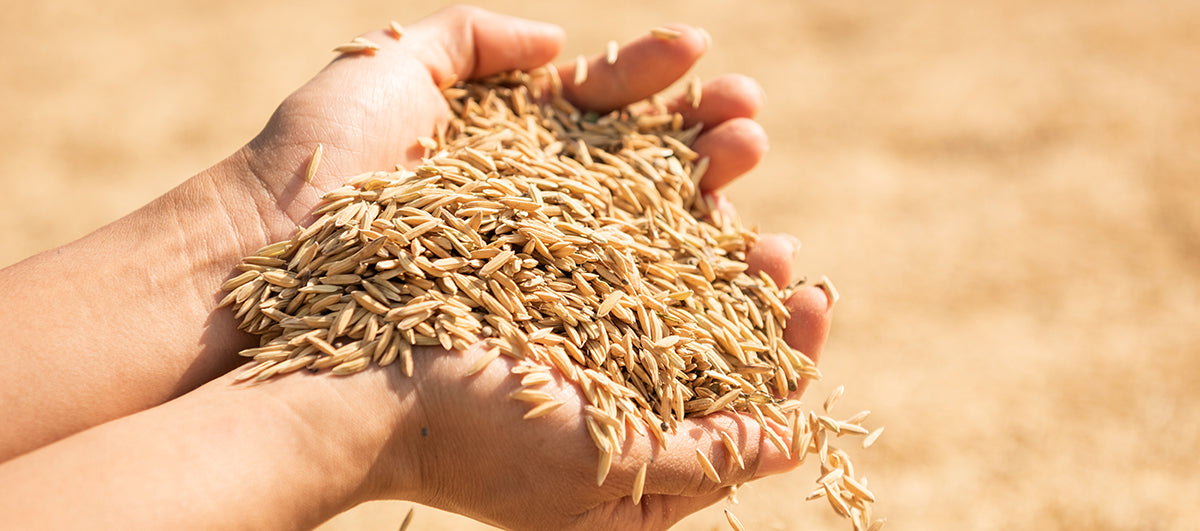 best acne-fighting ingredient