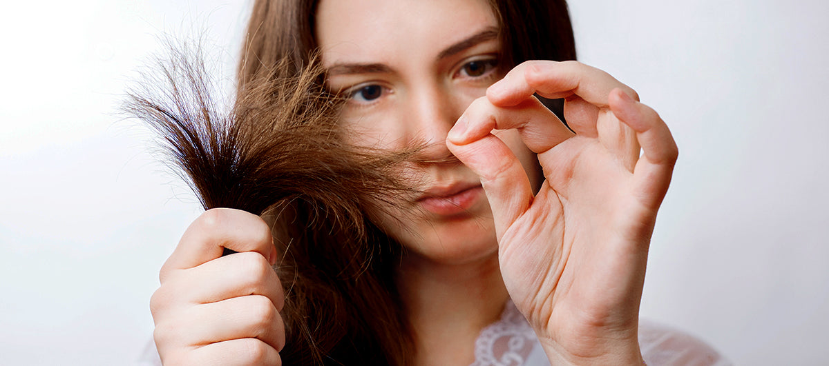 How to Get Rid of Split Ends - Re'equil