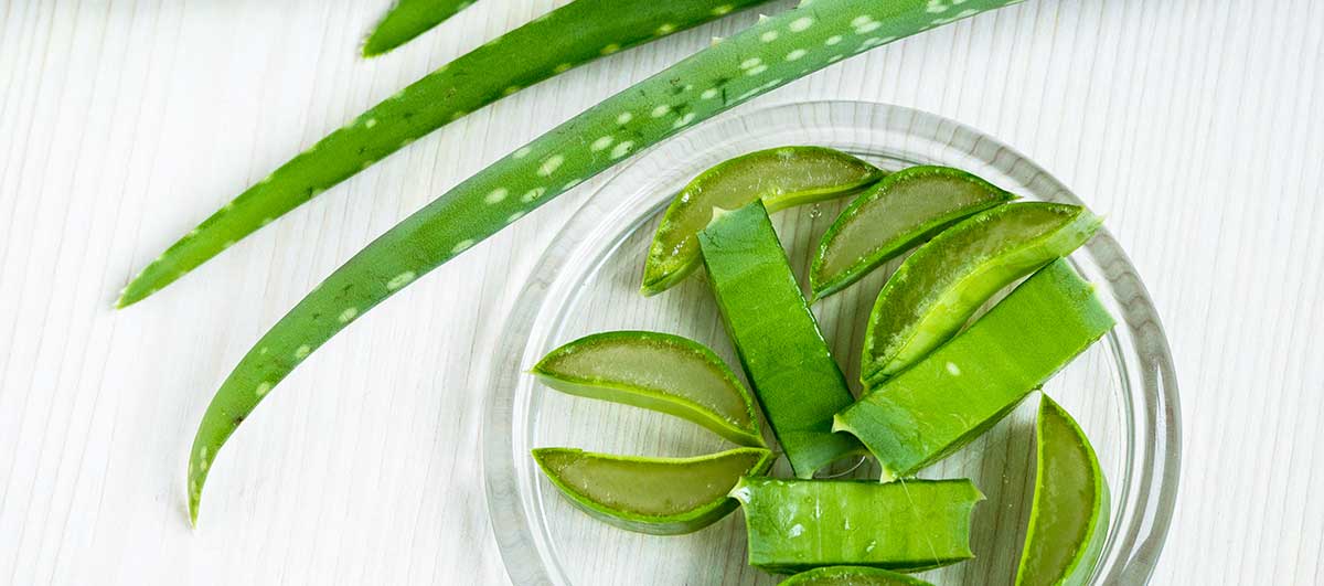 Top 5 Benefits of Aloe Vera for Hair