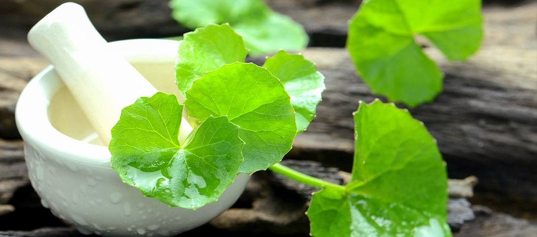 This Natural Ingredient Is Great For Eczema Prone Skin