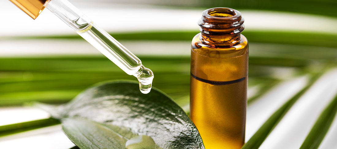 Benefits of Tea Tree Oil
