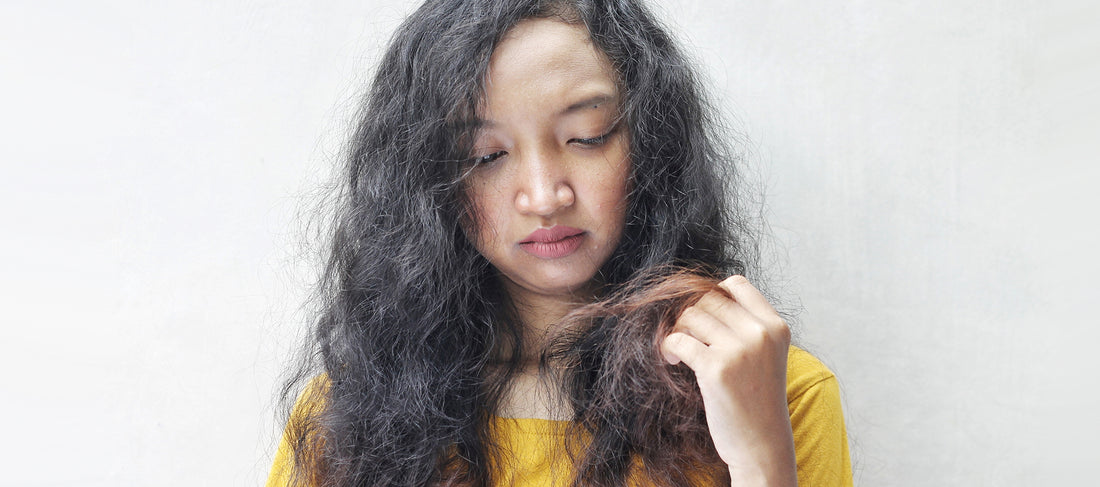 Best home remedies for dry and damaged hair
