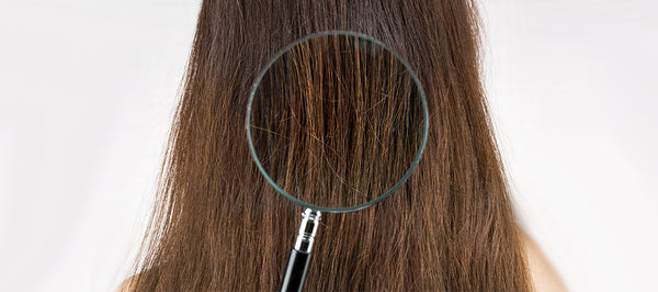How to Take Care of High & Low Porosity Hair?