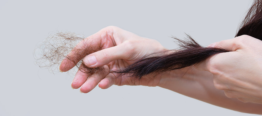 Hair Fall Occur And How To Prevent It
