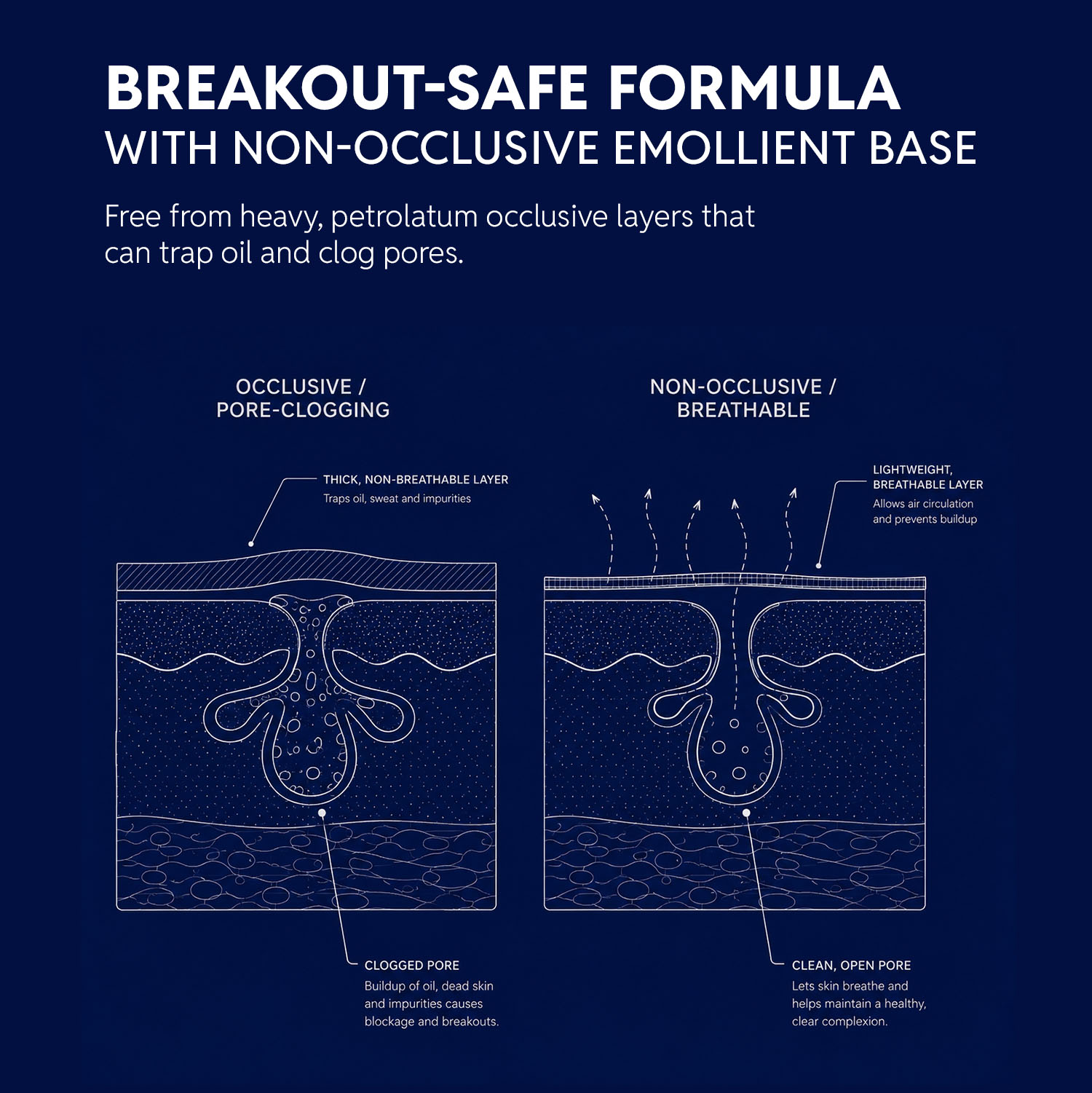 Oxybenzone & OMC Free Sunscreen